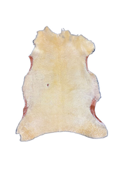 ln leather Dekoratif Boyalı Hafif Kusurlu Doğal Koyun Postu - 80x60 cm Koyun ...