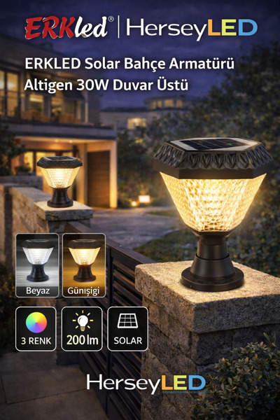 Erk Led ERKLED SOLAR BAHÇE ARMATÜRÜ ALTIGEN 30W DUVAR ÜSTÜ 3 RENK ( BEYAZ + 4...