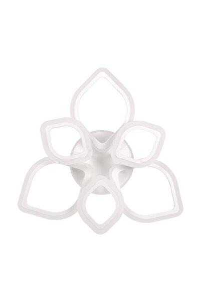 ERSTE LICHTING Modern LED Ceiling Light 100W with Remote Control Agata