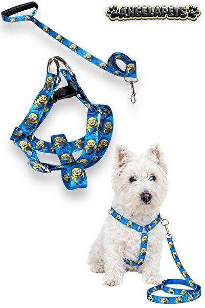 Angelapets Dog Chest Harness and Walking Strap Set