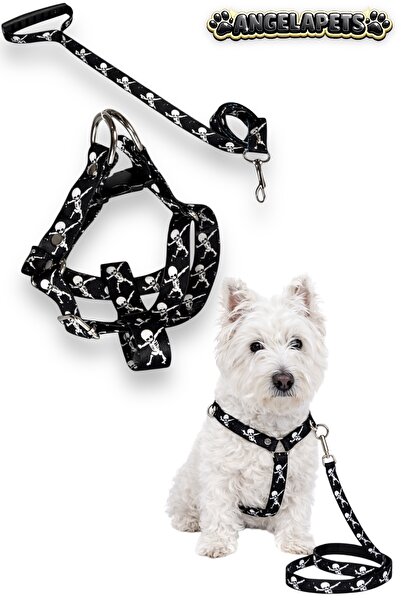Angelapets Dog Chest Harness and Walking Strap Set
