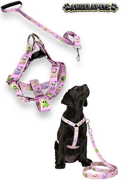 Angelapets Dog Chest Harness and Walking Strap Set