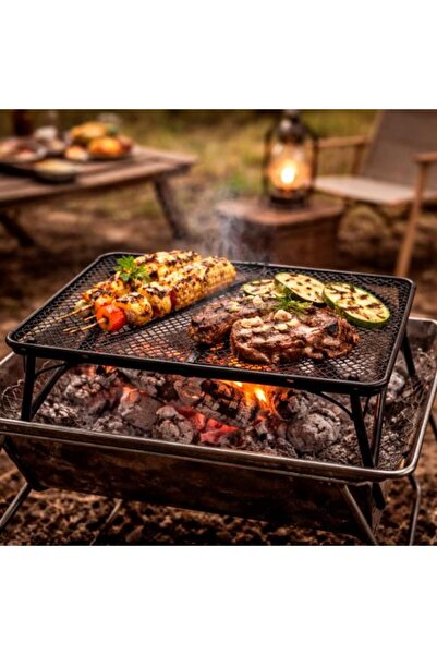 Generic Foldable Metal Grill Rack