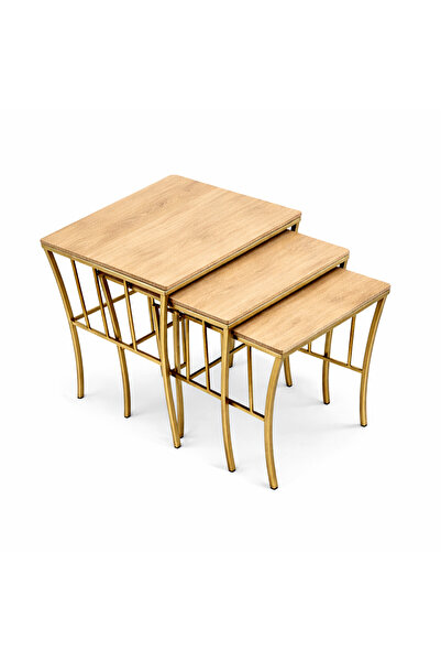 Riyes Tasarım Sepet Model 3 lü Zigon Eskitme Gold Metal Ayaklı Sehpa Seti- Mo...