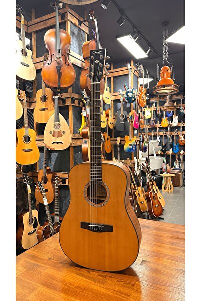 guson Profesyonel Akustik Gitar