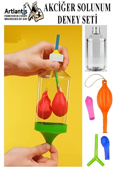 Artlantis Akciğer Solunum Deney Seti 1 Adet Kutulu Plastik Şişe Y Borusu Balo...