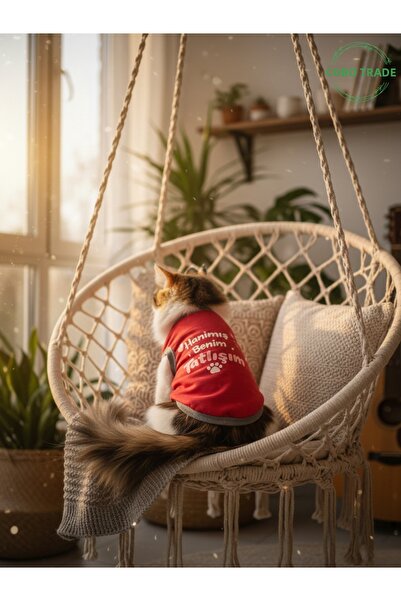 Gobo تي شيرت مطبوع عليه عبارة Red Hanimish is My Sweetie للقطط والكلاب، مقاس ...