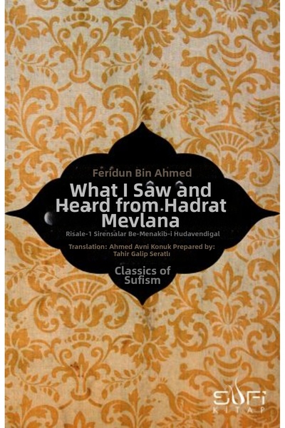 Marvel هرتز. ما سمعته ورأيته من مولانا