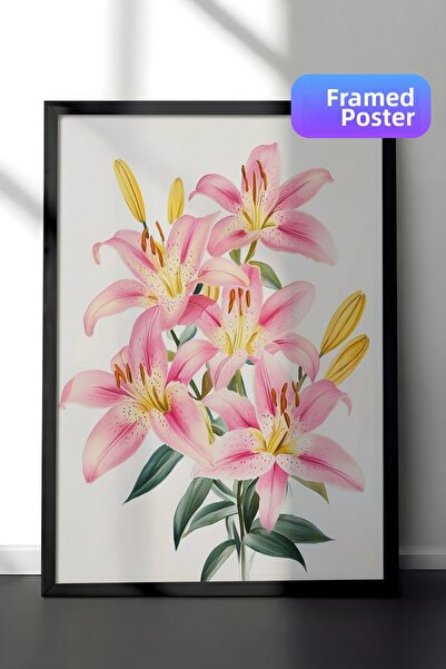 Zestia Pictură murală înrămată în negru Flori de crin roz Ilustrație botanică...