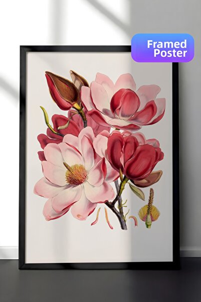 Zestia Стена с черна рамка Пастелни цветове Магнолиеви цветя Артистична илюст...