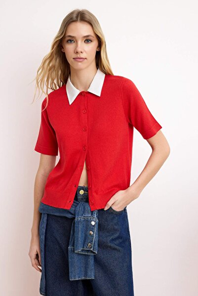 Trendyol Collection Rote, schmal geschnittene Strickbluse mit Hemdkragen und ...