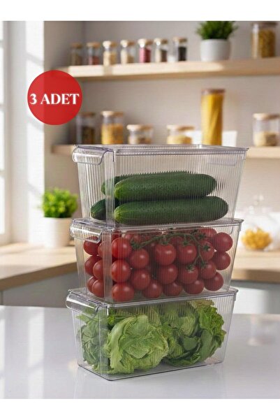 Okyanus Home 3 Adet Kapaklı Midi Buzdolabı Organizeri ve Saklama Kabı 4500ML