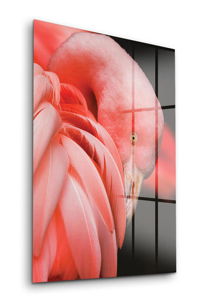 Decovetro Stakleni sto Flamingo