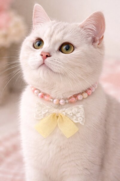 PHENORA قلادة أنيقة للقطط بتصميم لؤلؤي مزخرف بفيونكة - طوق قطط أنيق