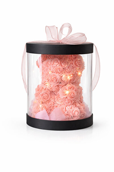 gülayıcık Özel Şeffaf Kutuda Somon Gül Hediye Ayıcık