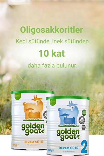 Golden Goat Keçi Devam Sütü 3 Numara 400 gr 6'lı Paket