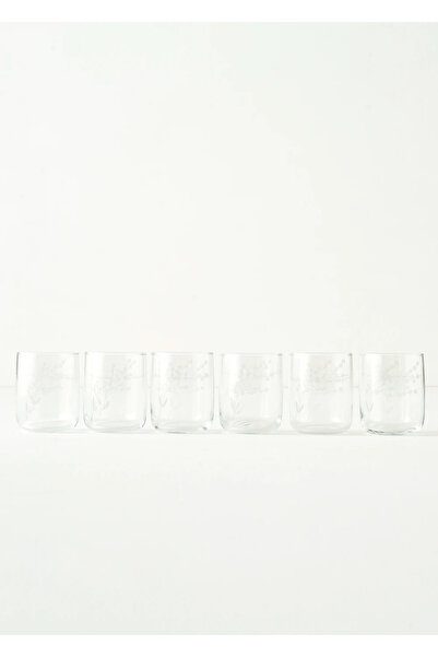 Bella Maison مجموعة حصرية من 6 أكواب طبيعية (280 سم مكعب)