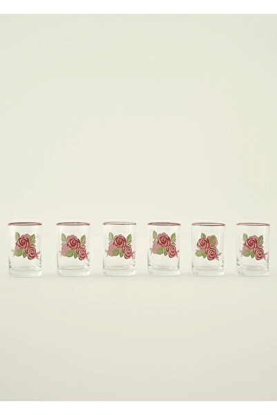 Bella Maison Rose 6-Pack Coffee Side Water Glasses (100 Cc)