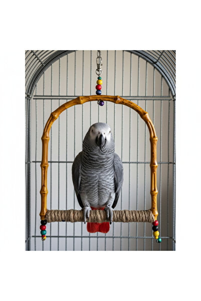 Majoris Büyük Bambu Papağan Salıncağı