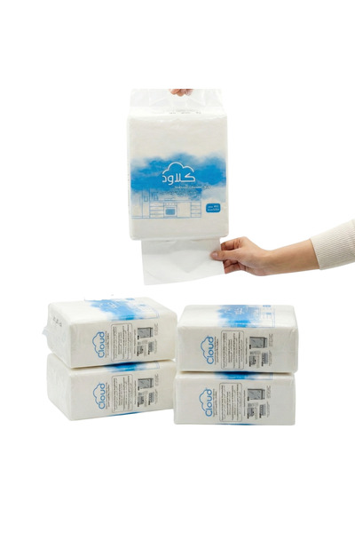 CLOUD ورق تنشيف مطبخ المعلقة - 5 عبوات × 600 منديل – امتصاص فائق