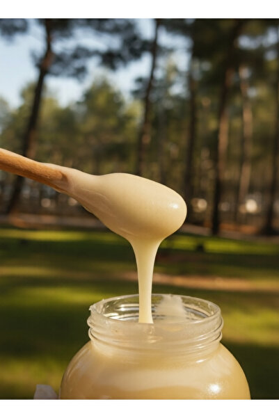 Balkovan Hakiki Beyaz Bal 850 gr - Doğal Yayla Balı