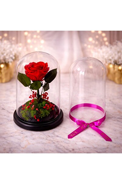 velve Trandafir criogenat Eternal in cupola de sticla pe pat de licheni criog...