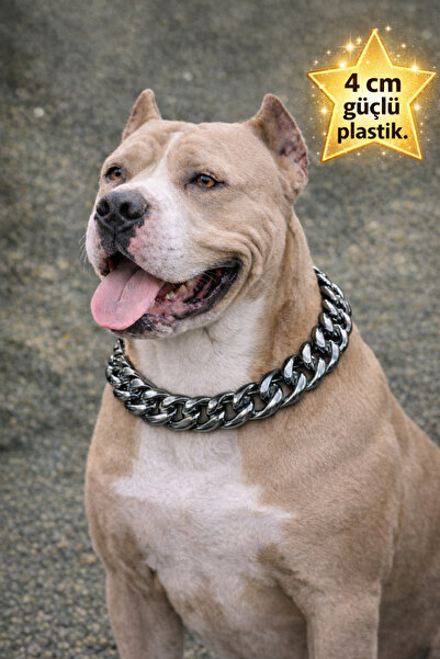 milamiow KALIN AKRİLİK ZİNCİR KOLYE ZİNCİR KOLYE