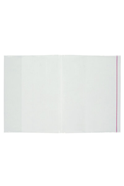 Bigpoint A4 Готовий палітурний конверт, пакет по 10 штук, прозорий x 25 пакетів