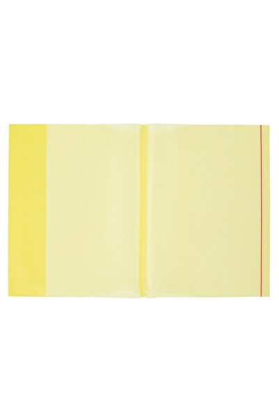 Bigpoint Pachet de 5 caiete A4 Ready-made, galben transparent x 20 pachete