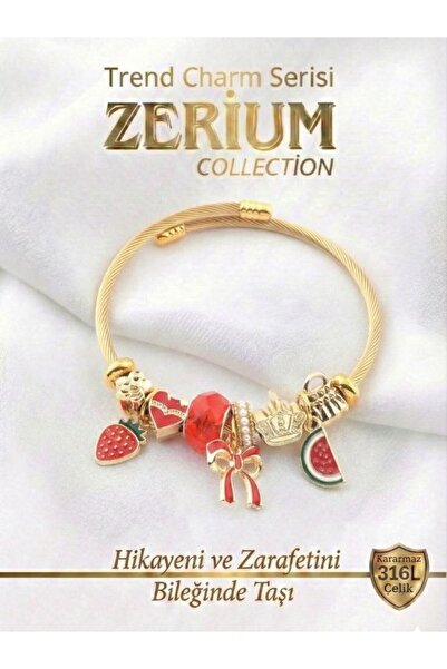 ZERİUM Modern Steel Stylish Women's Charm Steel Bracelet Bow Watermelon Cherr...