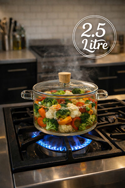 MİMOZA PARK 2.5 Liter Borosilicate Glass Pot Heat Resistant Healthy Cooking P...