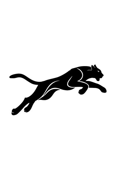 AlpiLeo 6 Parça Set Oto ve Moto Sticker - 3 Sağ 3 Sol Zıplayan Kedi Aslan Köp...