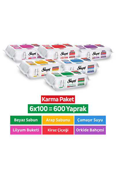 Sleepy Easy Clean Premium + Çiçek Serisi Yüzey Temizlik Havlusu Mendili 6x100 Karma Paket