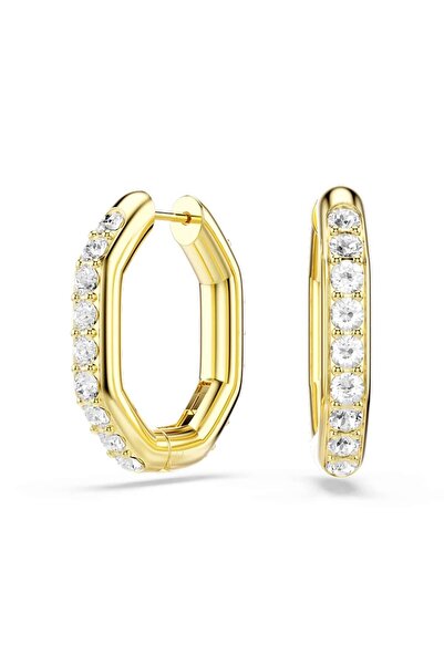 Swarovski Swr5724584 Women's Earrings