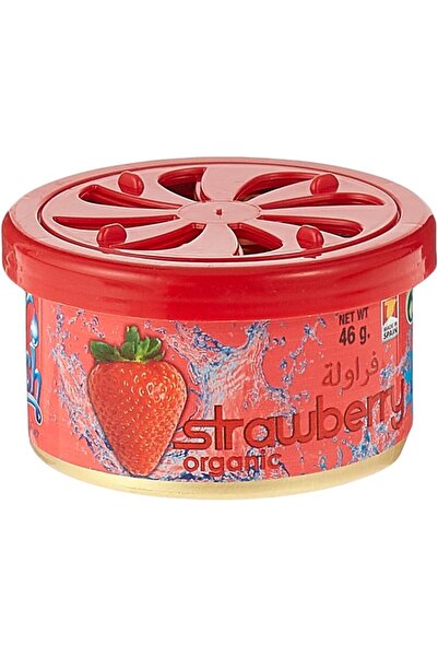 Generic Everfresh Organic Can Strawberry