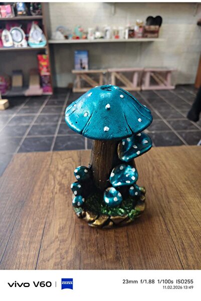 diğer0101 MANTAR ŞEKLİNDE AKIŞKAN TÜTSÜLÜK