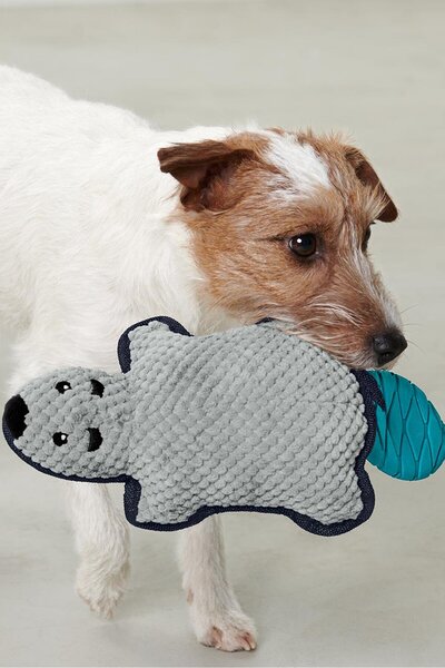 Tchibo لعبة وبري للكلاب