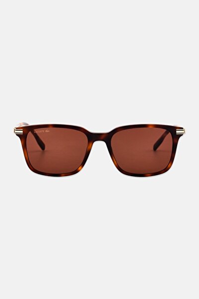 Lacoste Men L6035 Square Sunglasses, Havana Brown