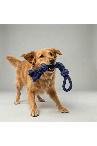 Tailpetz Dog Leash with Holder