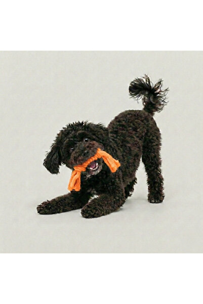 Tailpetz Twisted Dog Chew Toy