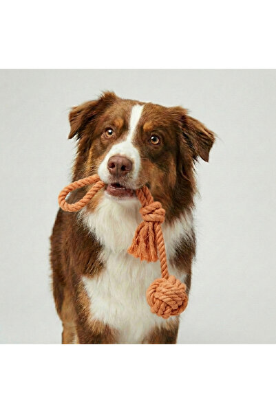 Tailpetz Long Rope Single Ball Dog Tug Toy