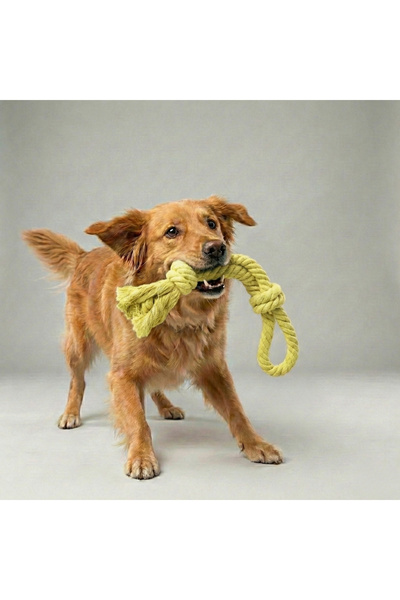 Tailpetz Dog Leash with Holder