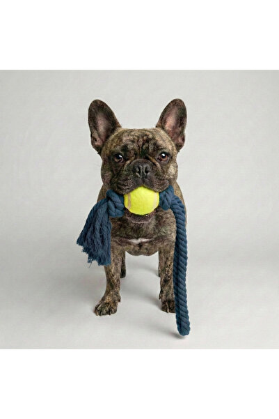 Tailpetz Rope Long Pull Tennis Ball Dog Toy