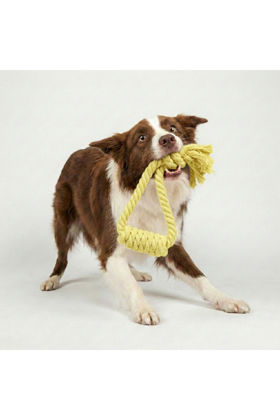 Tailpetz Twisted Pull-Along Dog Toy