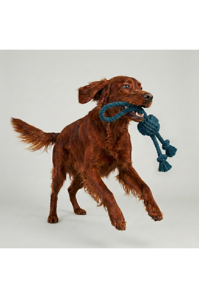 Tailpetz Two-End Dog Tug Toy with Holder