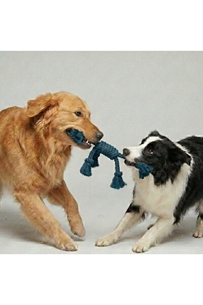 Tailpetz Rope Four-Way Dog Tug-Of-War Toy