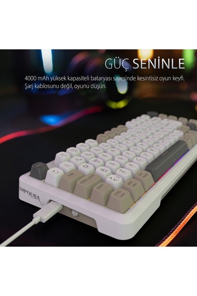 Inca IKG-455 Empousa Gasket Hot Swap Posh Tri-Mode Makro Rgb Mekanik Klavye