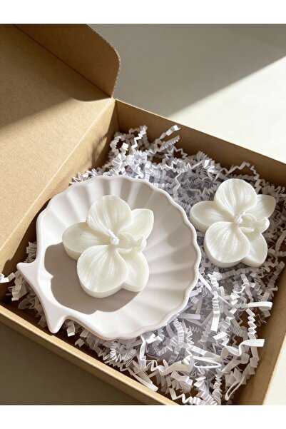 LUEURE STUDIO Orkide mum kutulu set