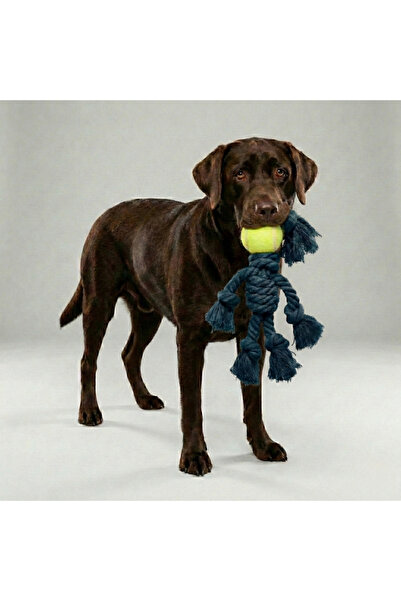 Tailpetz Tennis Ball Four-Handed Pull-Along Dog Toy
