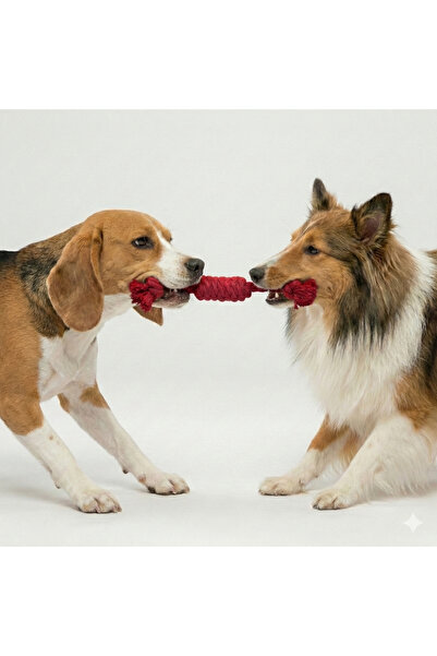 Tailpetz Rope Twisted Dog Tug Toy